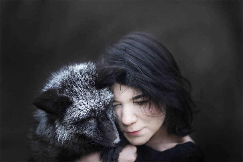 图片 2月泰迪狗粮喂养指南：科学配比与营养方案（附每日食量计算表）1.jpg