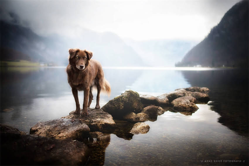 图片 4联疫苗全：最新接种指南、适用人群及注意事项（家长必读）.jpg