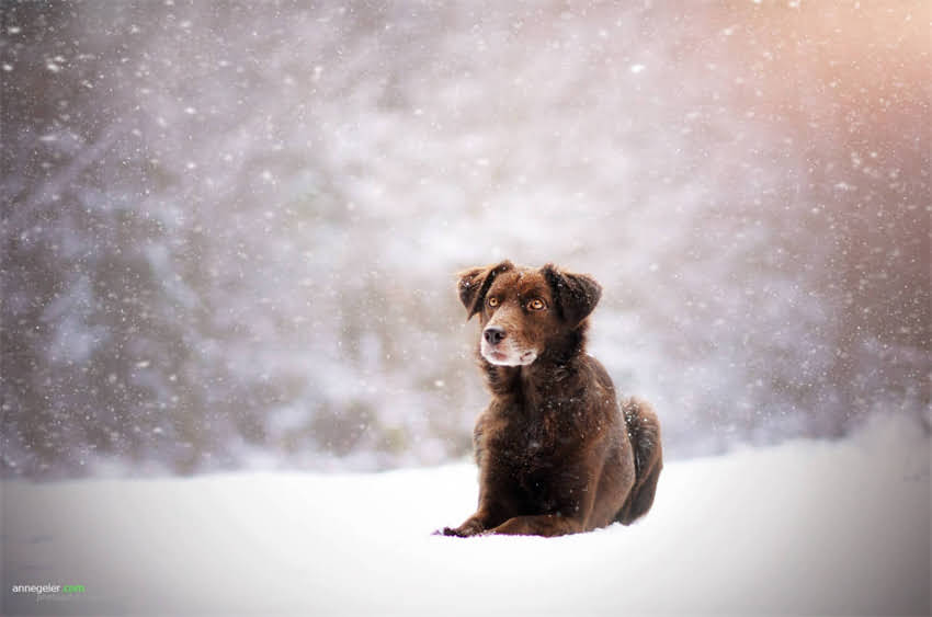 图片 4联疫苗全：最新接种指南、适用人群及注意事项（家长必读）1.jpg