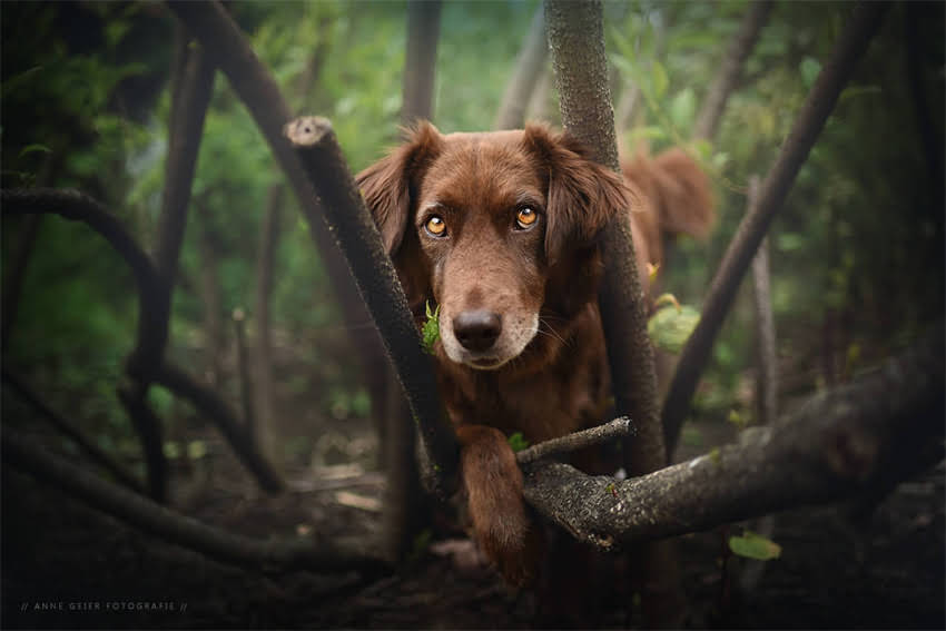 图片 5个科学方法让猫咪每天多喝1倍水！养猫必看指南1.jpg