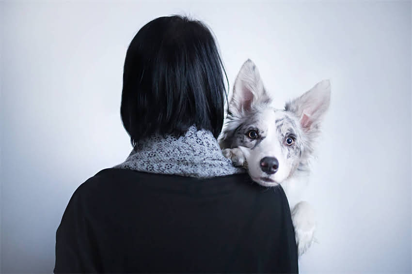 图片 两个月大小狗发情怎么办？新手家长科学应对指南（附护理要点）2.jpg