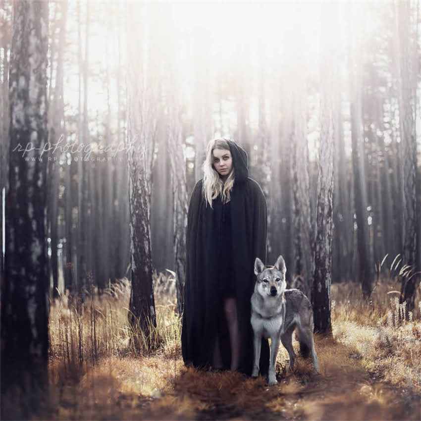 图片 两岁比熊犬训练全攻略：科学纠正行为+提升服从性的12个实用技巧.jpg