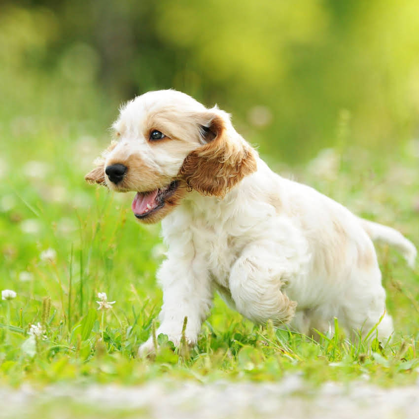 图片 中亚国家vs阿拉斯加：地理、文化、经济全方位对比2.jpg