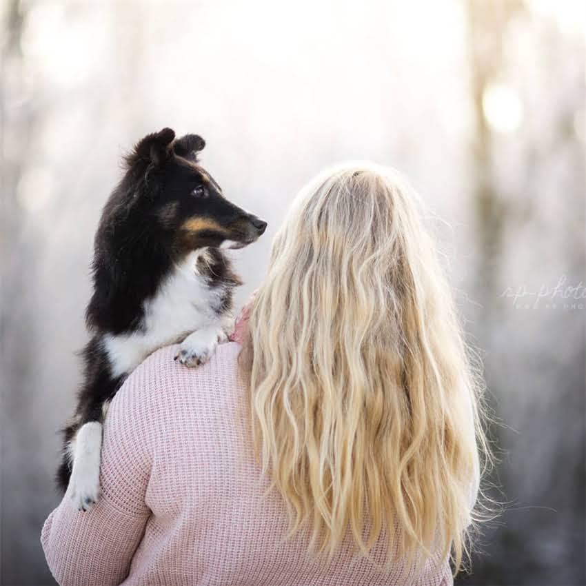 图片 二个月大猫咪的科学喂养指南：最佳食物选择与营养搭配2.jpg