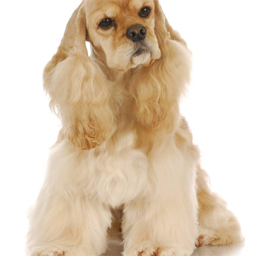 图片 北境生存指南阿拉斯加人每天吃钙片？看完这篇颠覆认知！.jpg