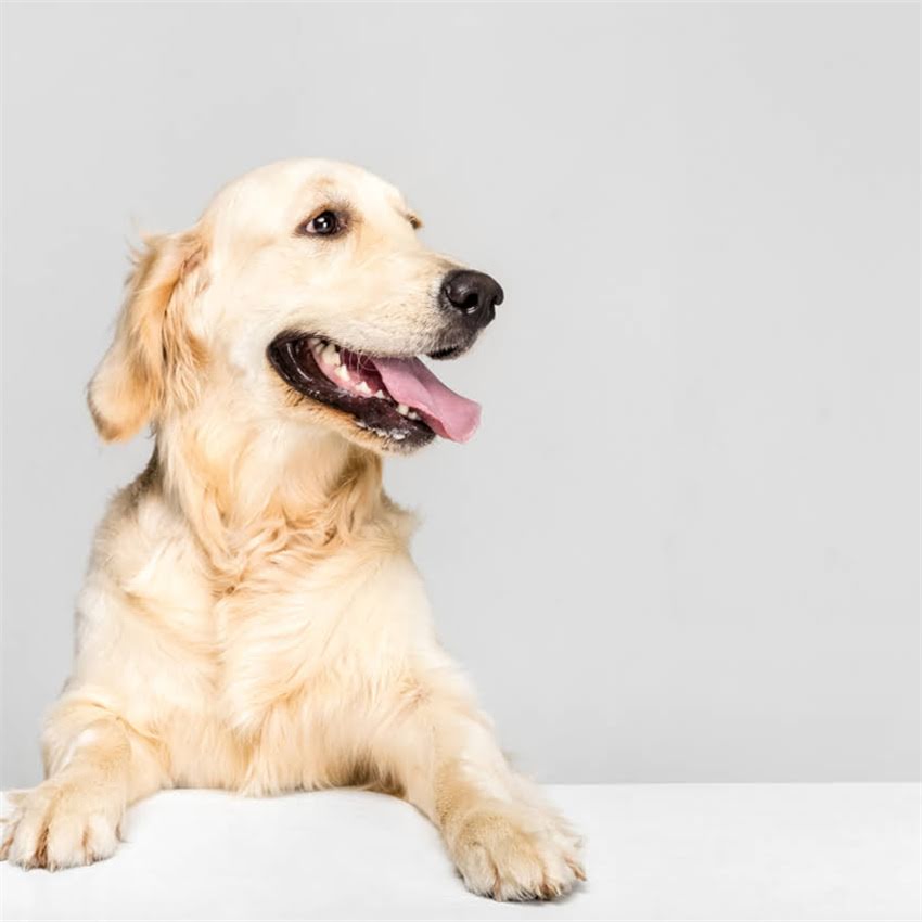 图片 博美医疗美容专业洗牙服务：舒适体验+口腔健康全攻略2.jpg