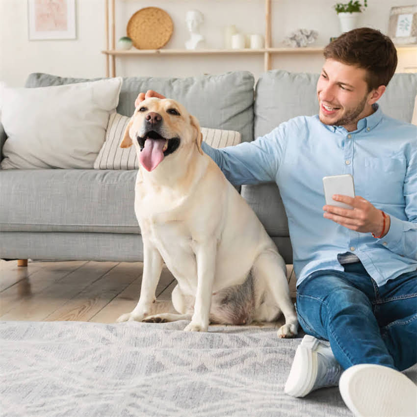 图片 博美洗澡后依然有异味？5大专业技巧彻底解决犬只体味问题2.jpg