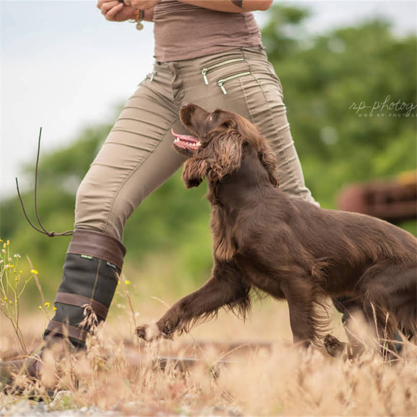 图片 博美犬幼犬疫苗接种全指南：最佳打针时间表与注意事项（附疫苗类型）2.jpg