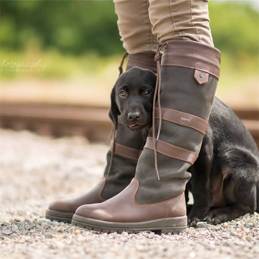 图片 博美犬幼犬饲养全攻略：0-12月龄分阶段养护指南，附疾病预防与营养方案1.jpg