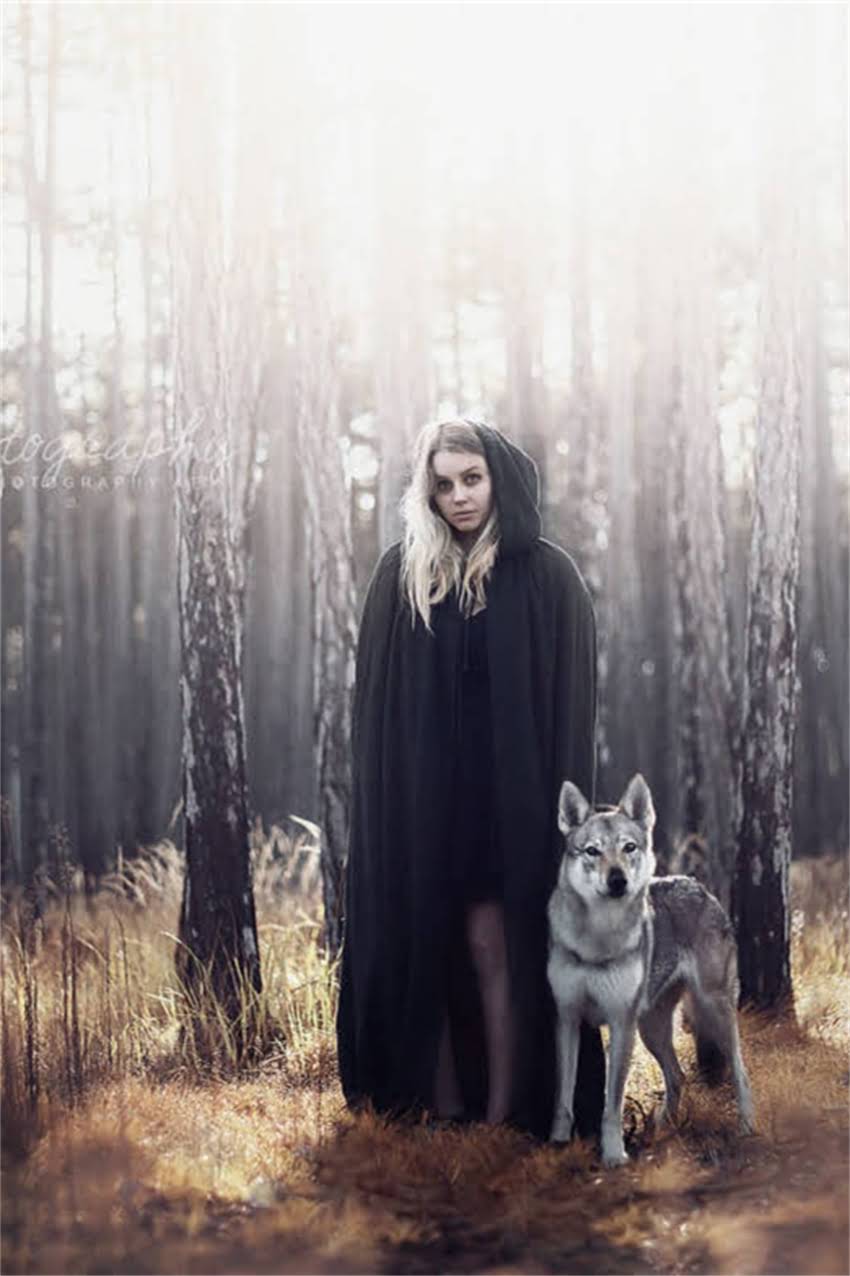 图片 博美犬频繁咬人怎么办？5大训练技巧+常见原因，让爱犬养成好习惯.jpg