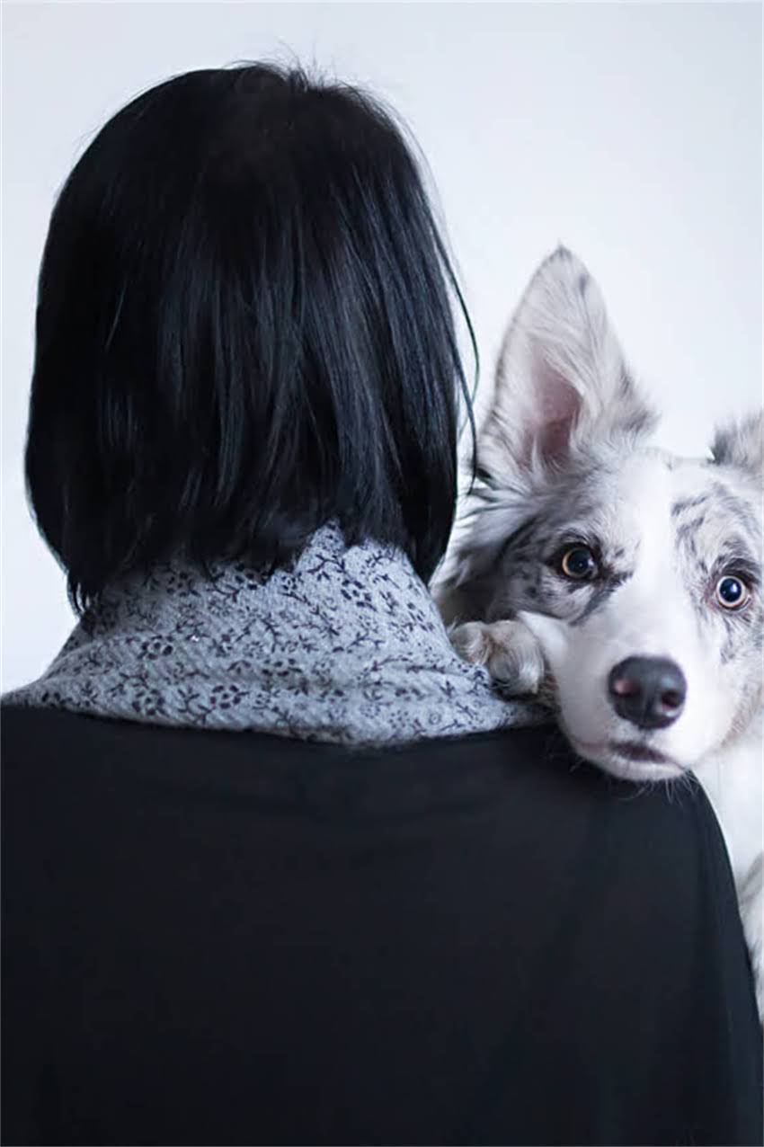 图片 吉娃娃眼睛发红5大原因及解决方法，养宠家长必看！2.jpg