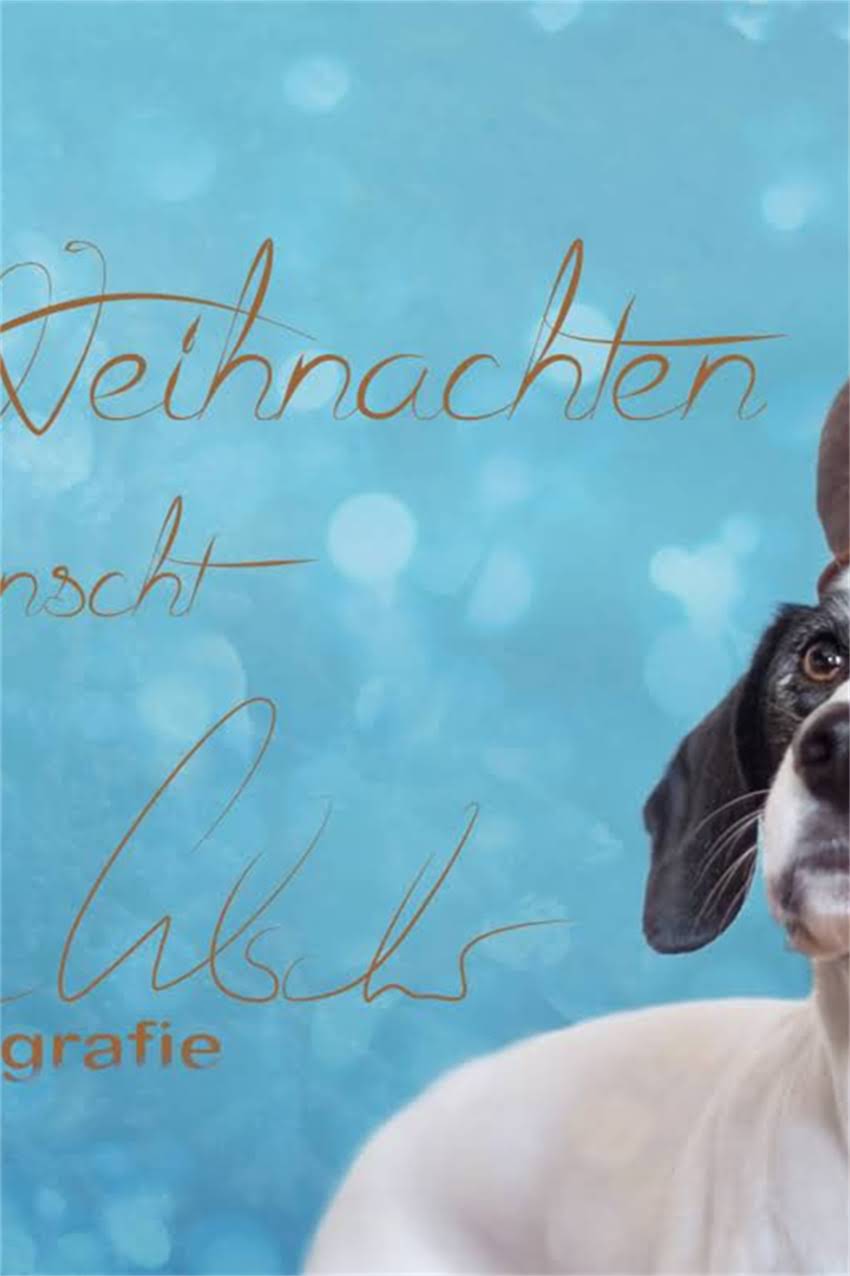 图片 吉娃娃科学养殖全攻略：新手必看注意事项与养护指南1.jpg