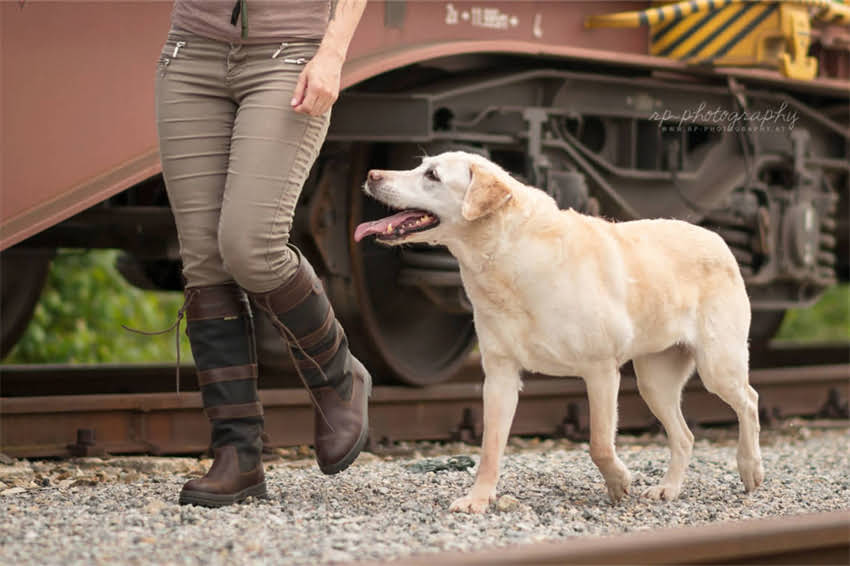 图片 吉娃娃衣服DIY全攻略：从尺寸测量到缝制技巧，手把手教你制作专属宠物装1.jpg