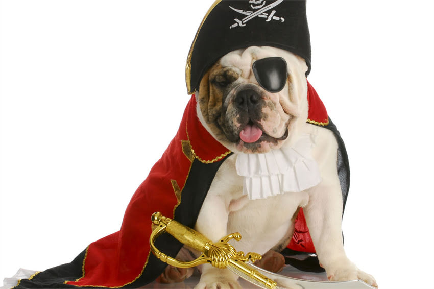 图片 哈士奇狂犬疫苗全攻略：3针2年打完？附详细时间表和注意事项1.jpg