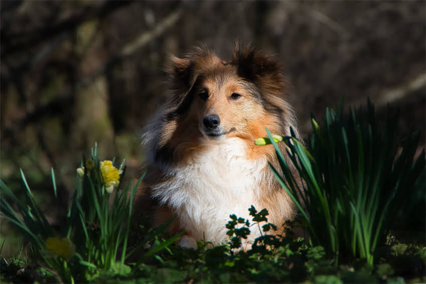 图片 唐山德牧展会权威：中国牧业行业年度盛况与产业升级路径1.jpg