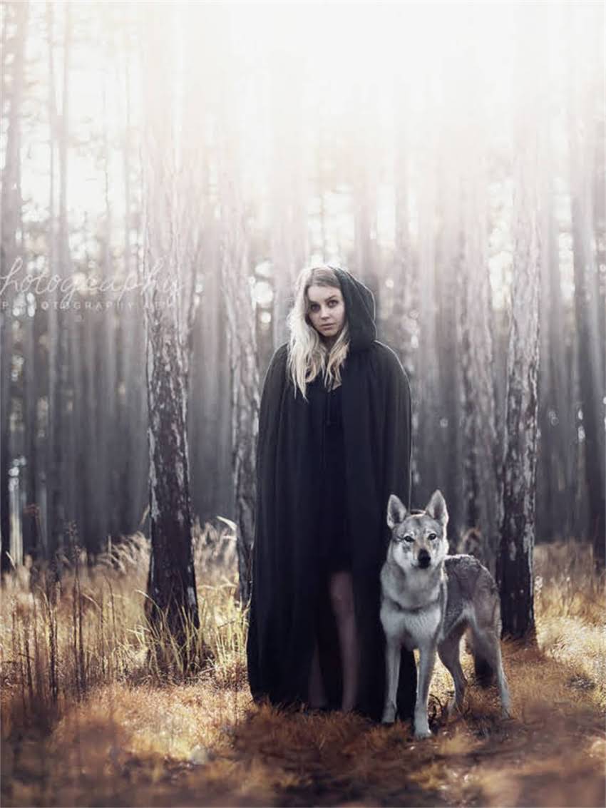 图片 如何召唤小猫回家：科学训练与常见呼唤声音（附训练指南）2.jpg