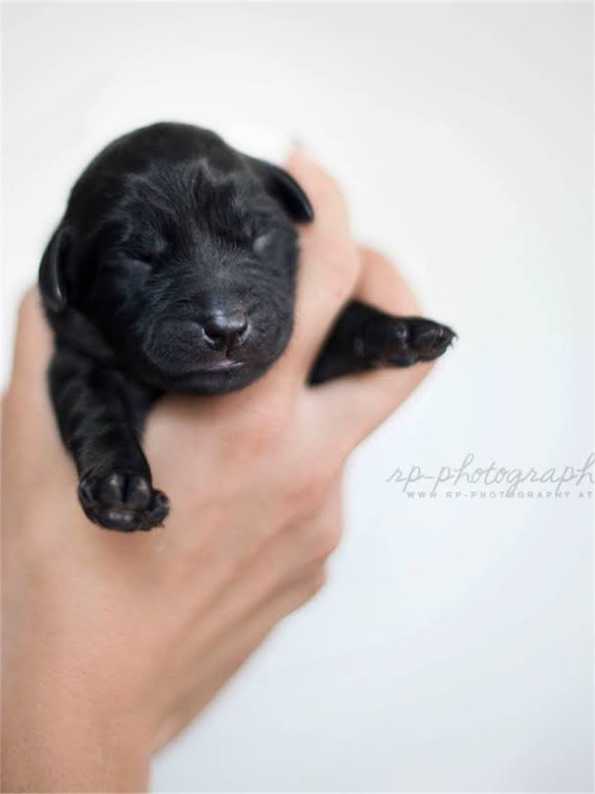 图片 如何科学确认怀孕状态：阿拉斯加地区检测方法与注意事项全2.jpg