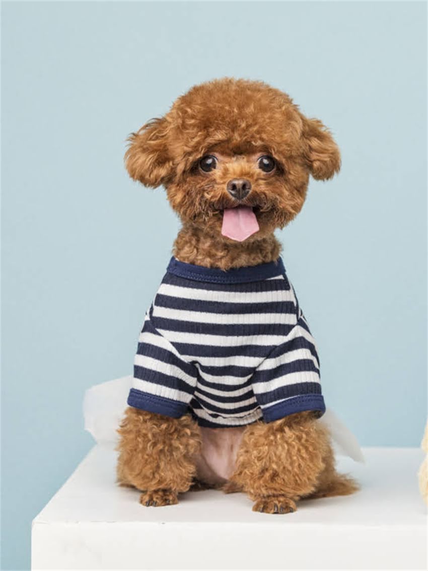 图片 小布偶吃哪种猫粮好？科学喂养指南及品牌推荐（附选购避坑清单）2.jpg