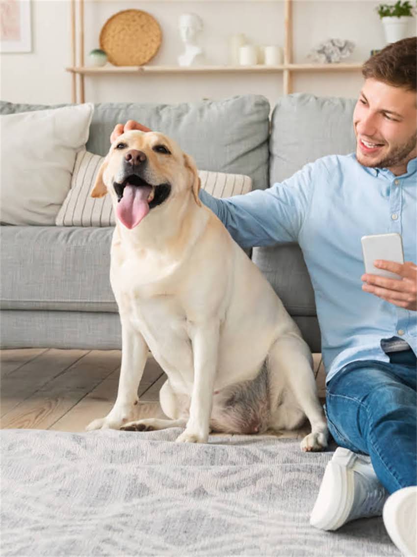 图片 小狗打疫苗的最佳时间表：3月龄前完成基础免疫，1岁后加强针怎么打？.jpg