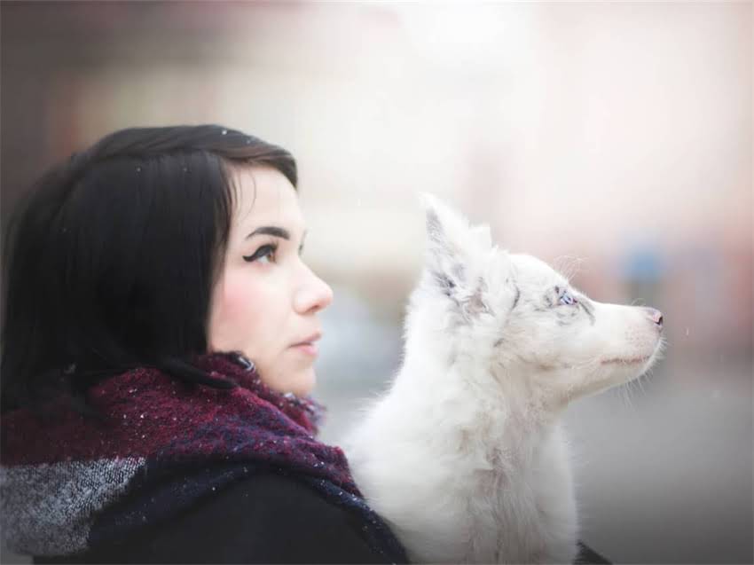 图片 小猫怀孕初期症状详细：新手必看的7个关键指标及应对指南.jpg