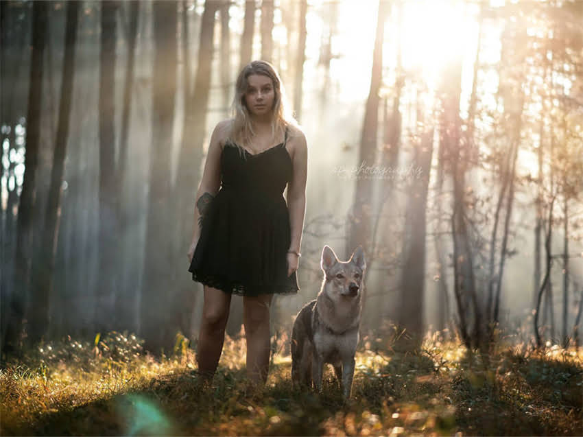 图片 小猫猫瘟全：病毒入侵途径、症状识别与科学防治指南1.jpg