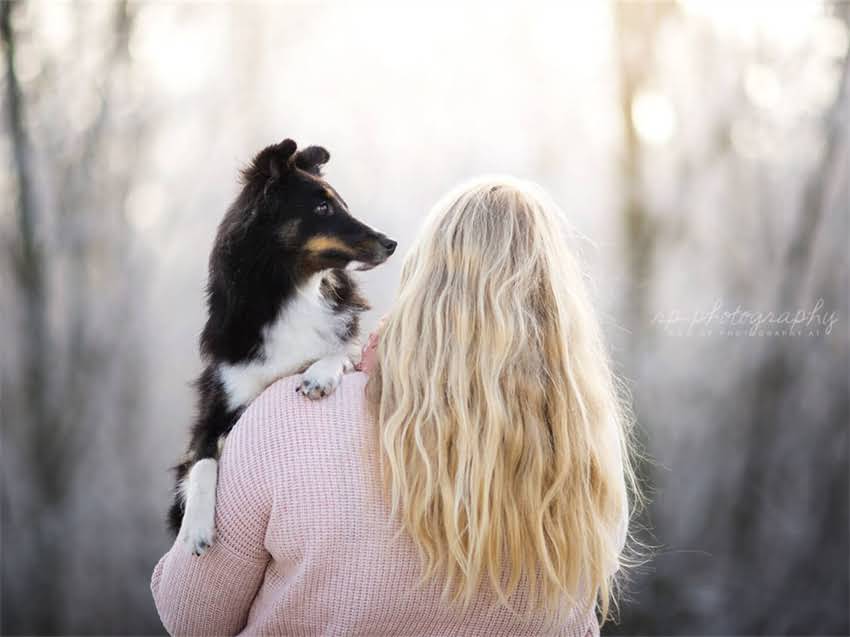 图片 小猫疫苗后两个月全攻略：护理要点、饮食禁忌与疫苗接种时间表（附图解）.jpg