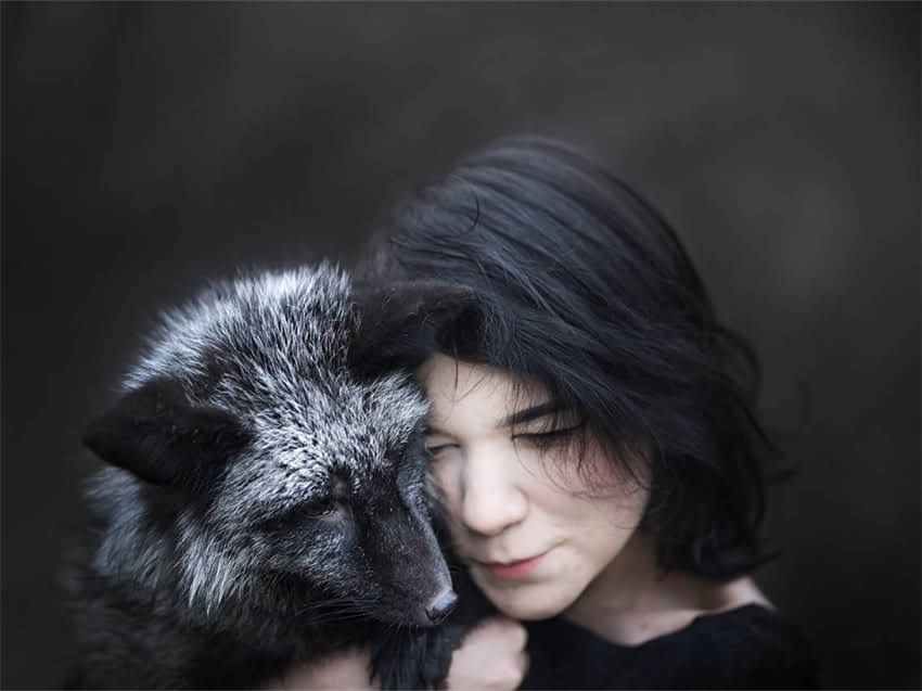 图片 小猫肛门出血严重怎么办？紧急处理指南+家庭护理全2.jpg