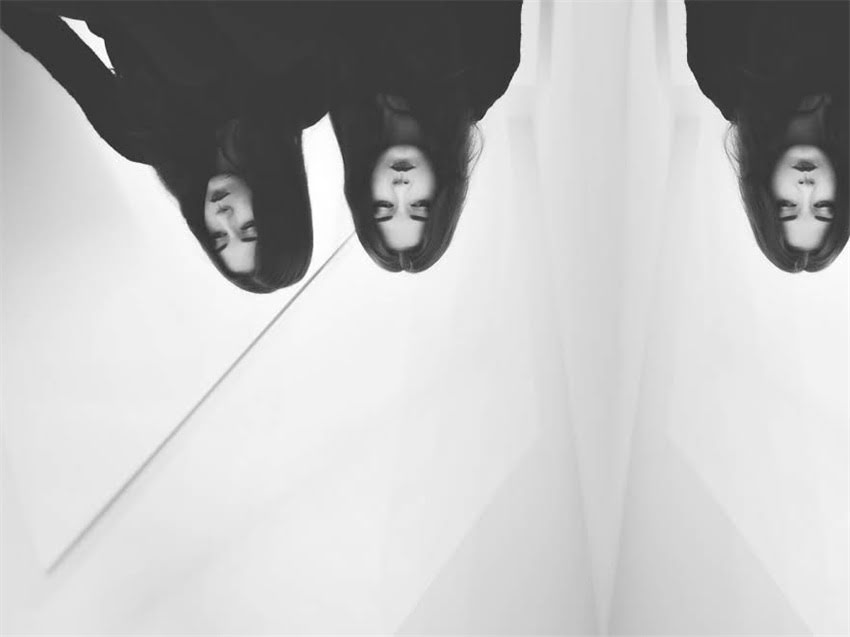 图片 小雪纳瑞爱咬东西怎么办？专业训练指南+常见原因（附日常管理技巧）2.jpg