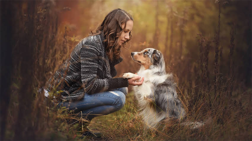 图片 成都吉娃娃多少钱一只？最新价目表+避坑指南（附购买攻略）.jpg