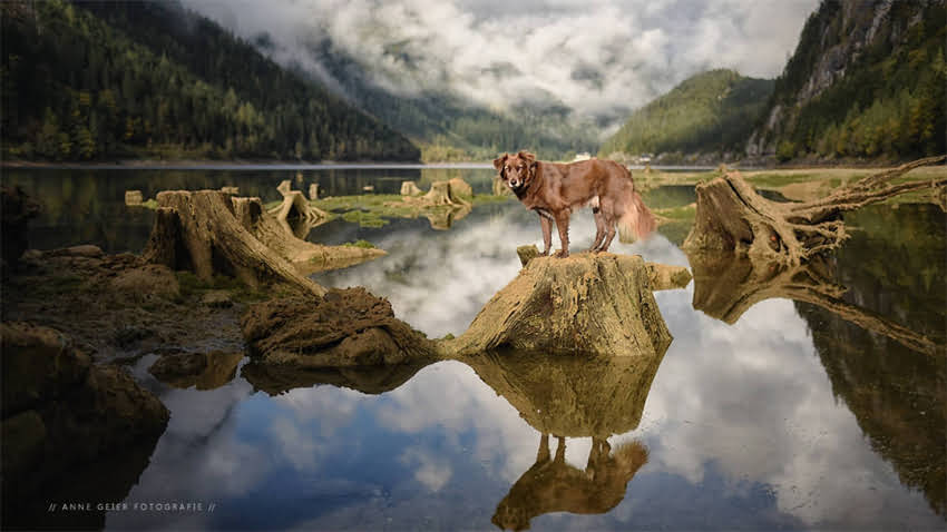图片 成都阿拉斯加俱乐部：高端社交新地标，会员专属活动全.jpg