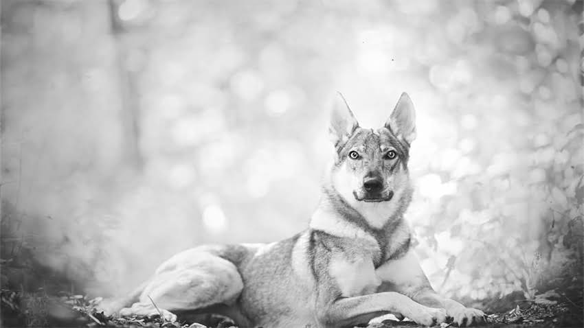 图片 打疫苗后多久能洗澡？权威指南解读疫苗接种后洗澡禁忌与注意事项2.jpg