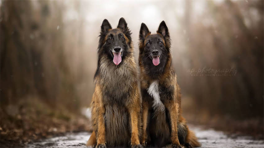 图片 打疫苗后能洗澡吗？疫苗接种后洗澡注意事项及恢复期护理全指南1.jpg