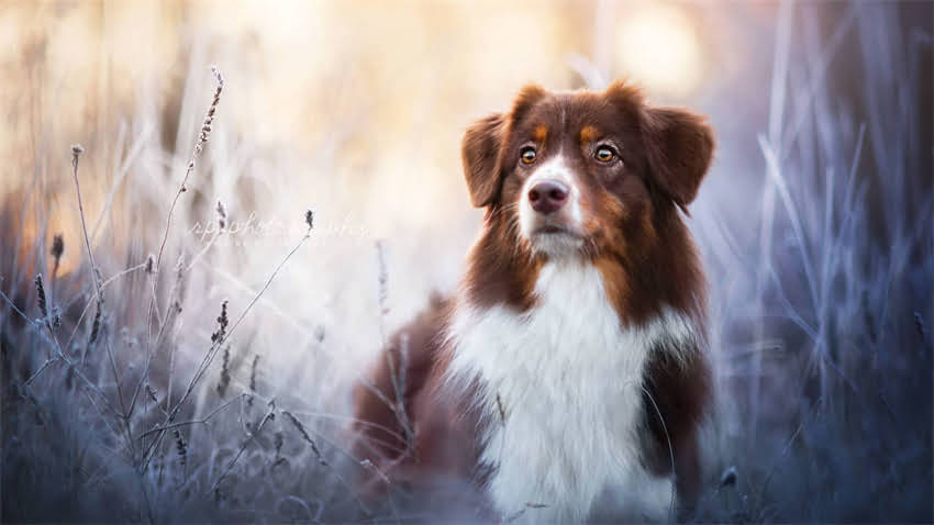 图片 打疫苗后能洗澡吗？疫苗接种后洗澡注意事项及恢复期护理全指南2.jpg