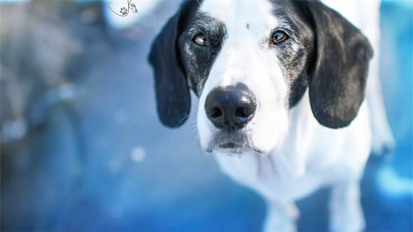 图片 新手养猫必看！养猫前必做的10件事，附详细指南和避坑经验（附赠猫咪用品清单）.jpg