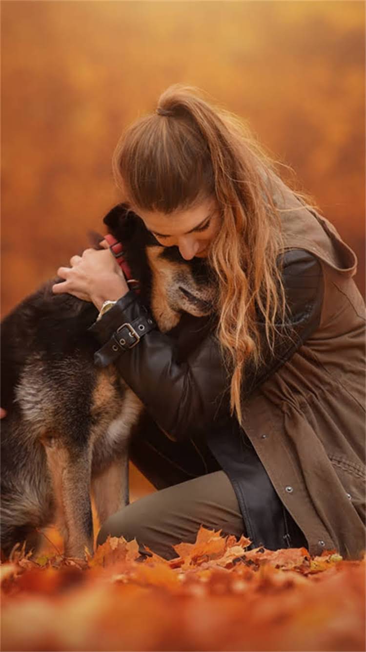 图片 最新报价纯种白色萨摩耶价格范围+饲养成本+注意事项全2.jpg