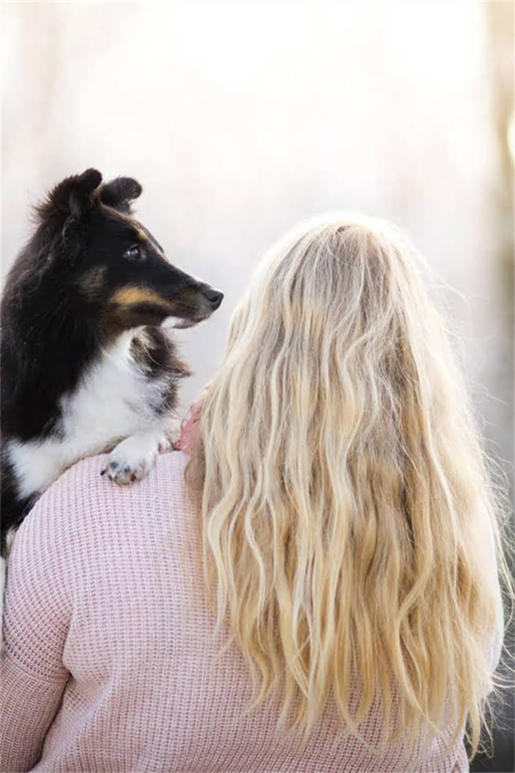 图片 母犬怀孕35-42天能生？狗狗怀孕全周期时间表及临产征兆（附接生指南）2.jpg