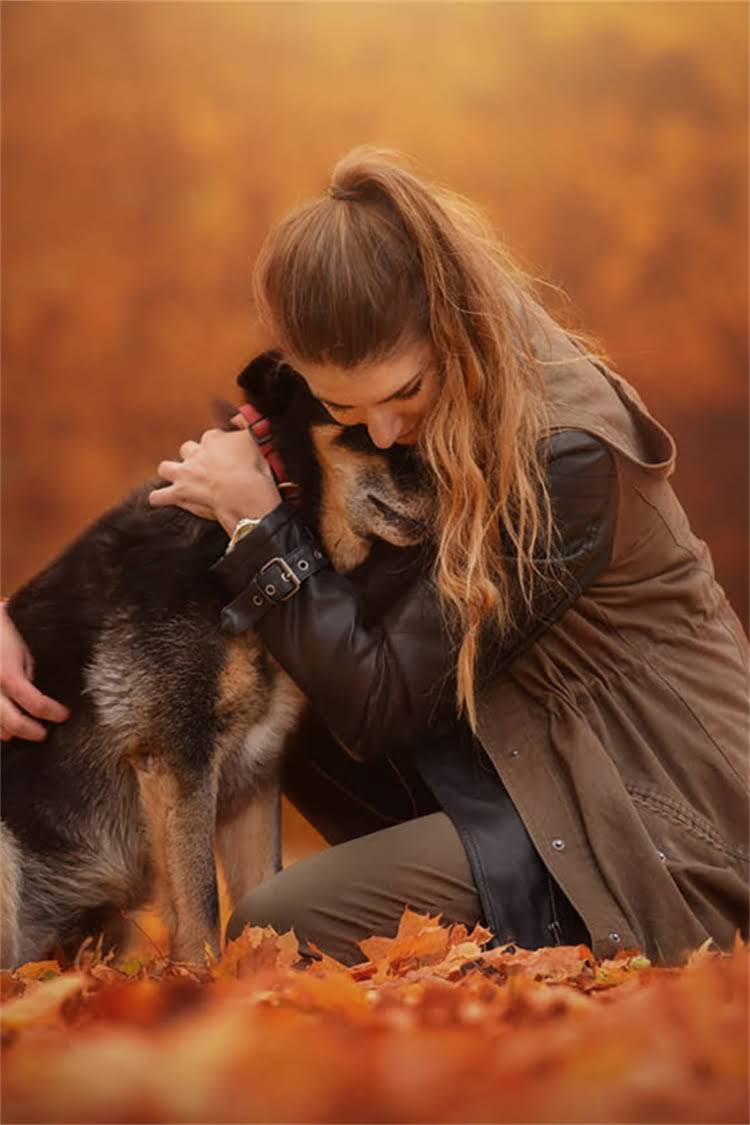 图片 比熊犬×博美串串培育全指南：品种特性、养护要点与注意事项2.jpg