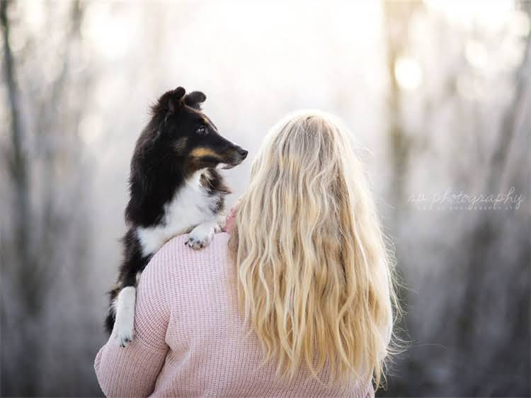 图片 泰迪犬毛发蓬松的5大秘诀：从洗护到造型全攻略（附专业护理步骤）1.jpg