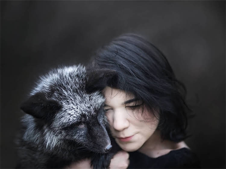 图片 泰迪犬独立睡眠训练全攻略：5个科学步骤让爱犬自主入睡不依赖2.jpg