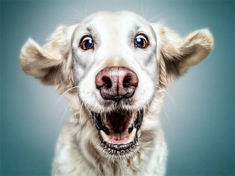 图片 深圳贵宾妈妈高端母婴店真实体验全口碑与避坑指南2.jpg