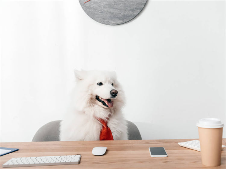 图片 狂犬疫苗有必要打吗？全面接种必要性、注意事项及副作用1.jpg