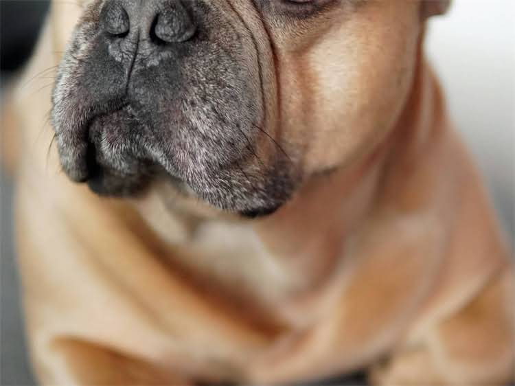 图片 狂犬疫苗注射后出现便血？这可能是身体发出的4个危险信号1.jpg