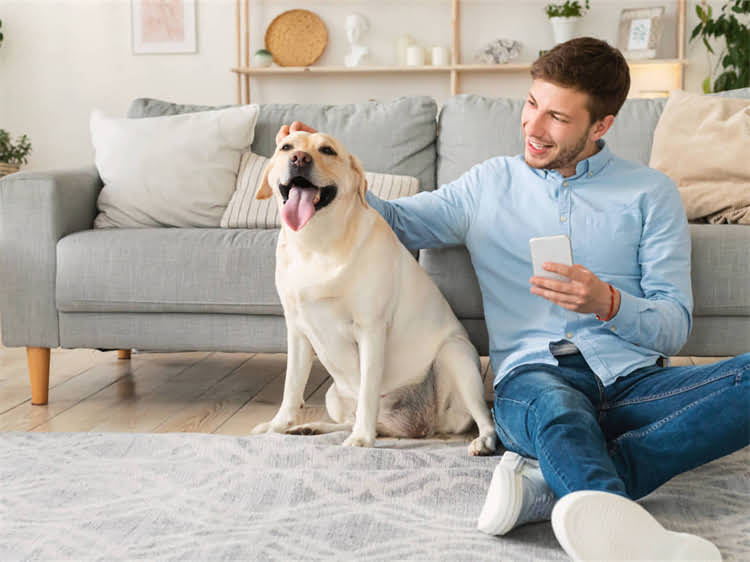 图片 狗狗不吃狗粮打翻食盆怎么办？3步教你轻松解决宠物饮食行为问题1.jpg