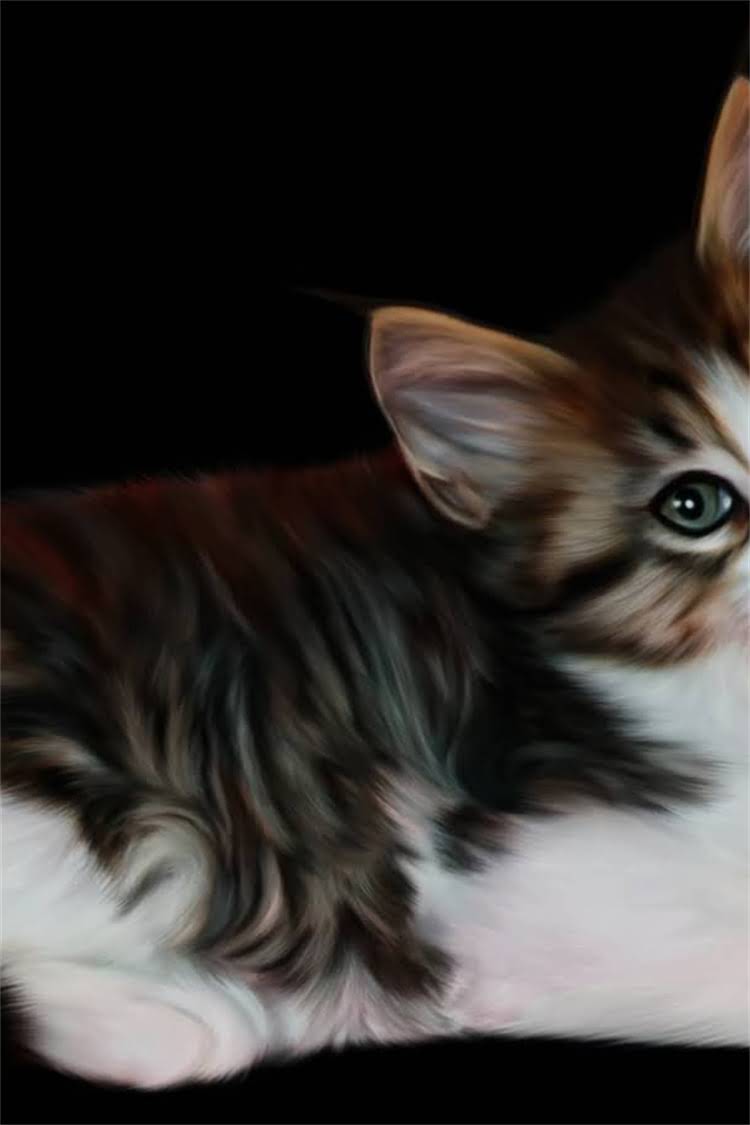 图片 狗狗接种疫苗后常见症状及应对指南：全面疫苗反应与护理要点2.jpg