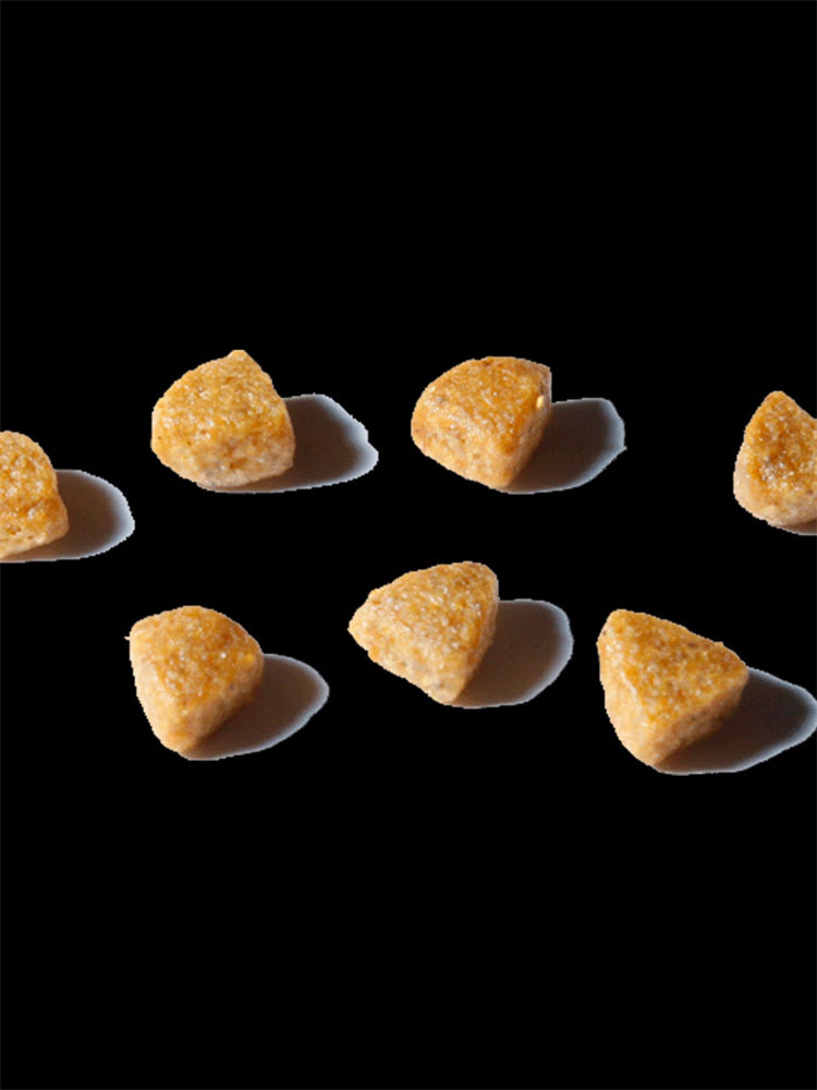 图片 狗狗疫苗不能洗澡吗？疫苗接种后洗澡的注意事项与科学护理指南（附专业兽医建议）.jpg