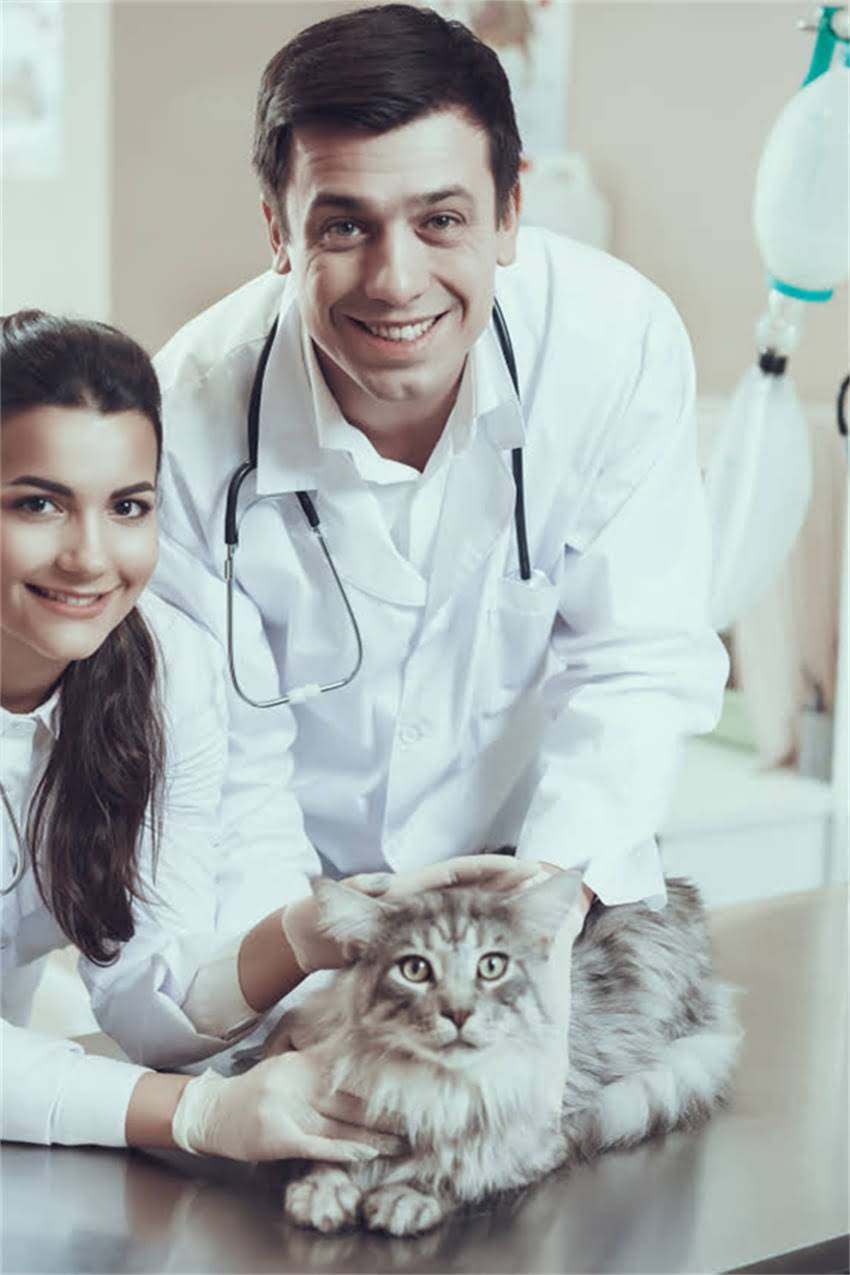 图片 狗狗疫苗后拉稀呕吐怎么办？3步排查原因+科学护理指南（附紧急处理法）｜宠物医生亲授2.jpg