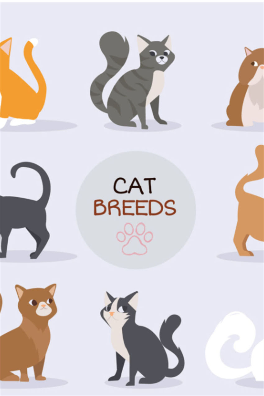 图片 狗狗肋骨下方出现凸起物常见原因分析.jpg