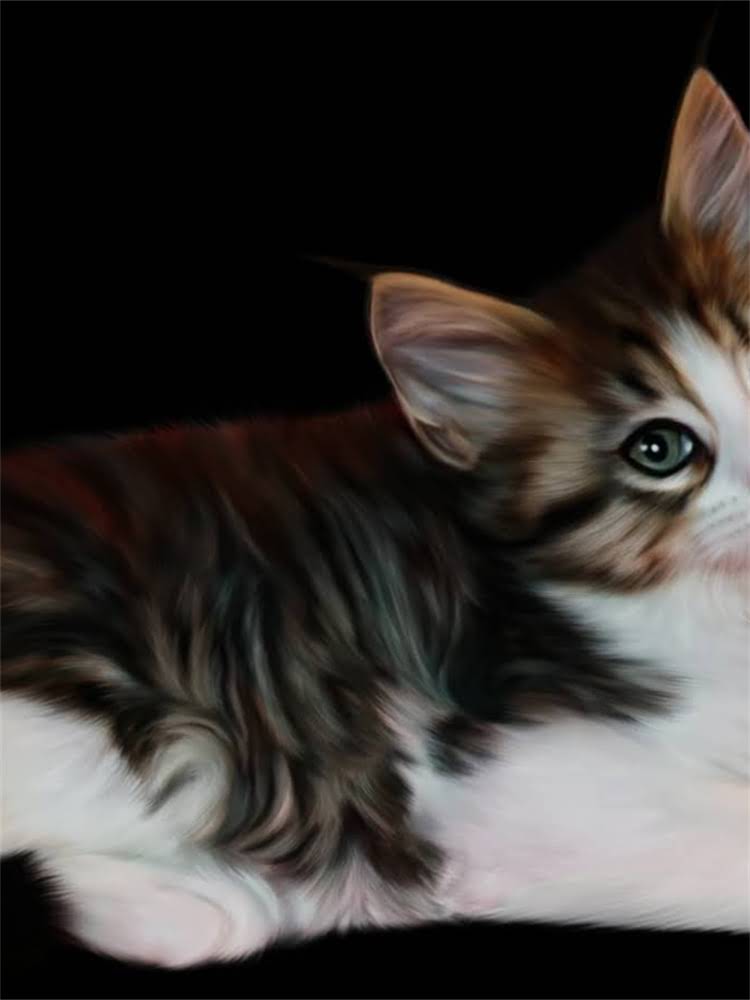 图片 狗狗起立训练教程：5步在家教会狗狗坐立趴下（附详细图解）2.jpg