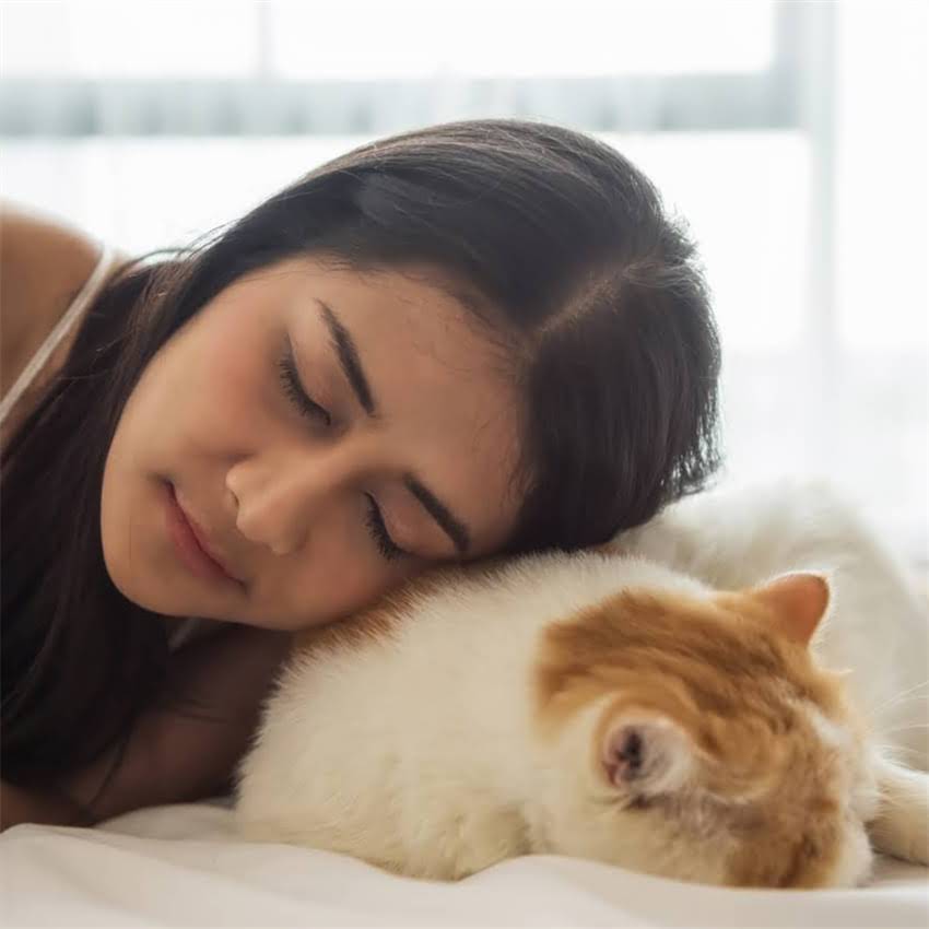 图片 狗粮都是天然粮吗？5大真相！如何科学挑选宠物主粮（附权威选购指南）1.jpg