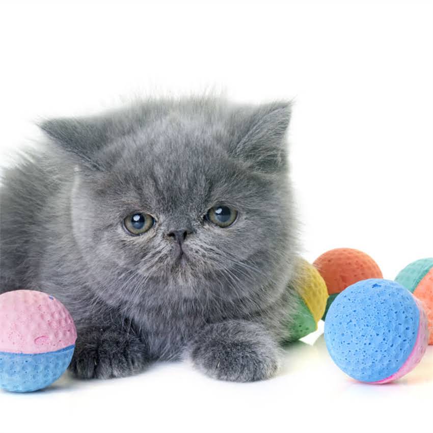 图片 猫咪一天吃多少克猫粮？科学喂养指南（附不同阶段需求计算表）2.jpg